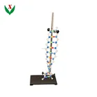 Model School Model Component Of DNA Double Helix Structure / Biological / School Teaching Equipment