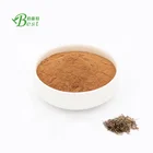 Phyllanthus Extract 100% Natural Phyllanthus Urinaria/Phyllanthus Amarus/Phyllanthus Niruri Extract 10:1 20:1