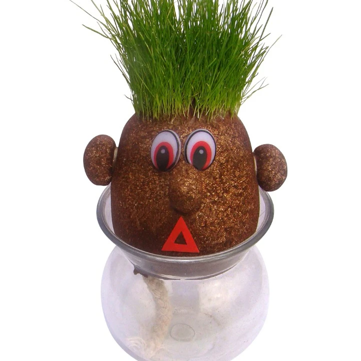 Novelty Growing Grass Head Wholesale 