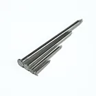 /pointe Common Wire Nails /Iron Nails /Pointe Factory Cheap Price