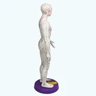 Model Medical Clear Lettering Human Body Meridian Acupoint Model Acupuncture Human Body Model