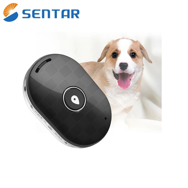 mini gps dog tracker