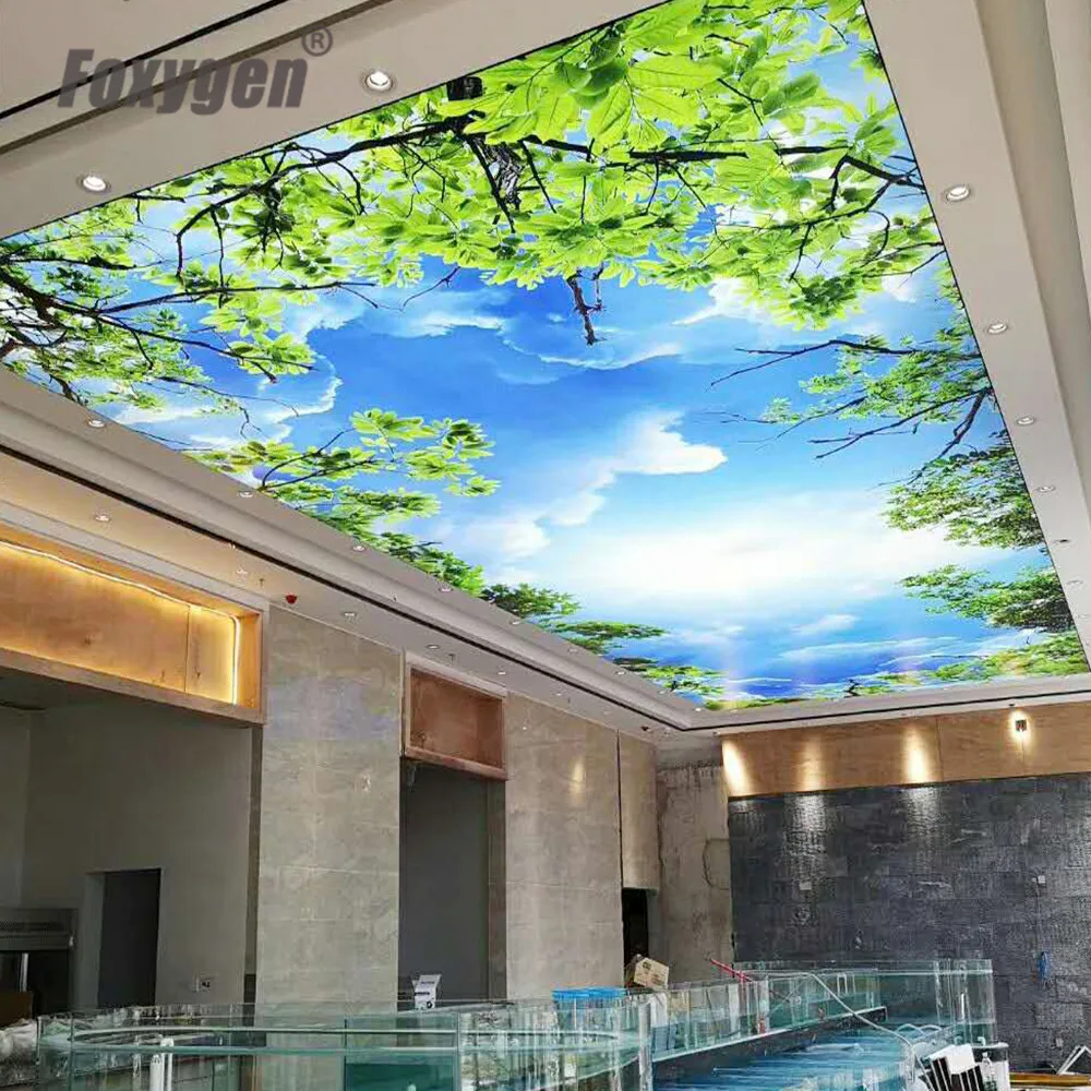 展示5