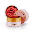 Makeup Hot Style CHICBELLE Rose Petal Blush Highlight For Makeup OEM Wholesale
