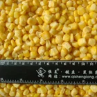 Corn Yellow Yellowcornyellow Corn Bulk IQF Frozen Sweet Corn Yellow Corn Kernels