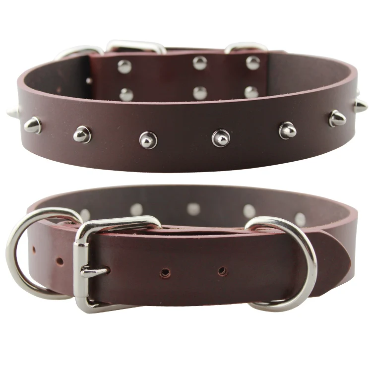 pitbull collars amazon