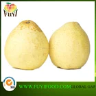 Pear Pears Pearpear Fresh Pear Su Pear With Best Price For Wholesale Pears
