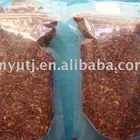 Pepper Dry Sweet Pepper Broken Dry Red Sweet Chilli Flakes