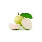 Egypt Export Natrual Dry / Fresh Fruits Guava