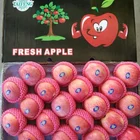 Apple Apple Red Fresh Fuji Apple Shandong China Best Apple Bargain 2016