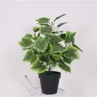 Tree Bonsai Bonsai Bonsai Tree Price Wholesale Super Quality Display Mini Artificial Tree Bonsai