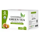 100% Tea Tea Tea Green 100% Organic Chinese Green Tea Bags With Reishi Mushroom Lingzhi Extract
