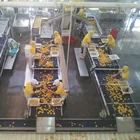 China Canning Machine China Factory Automatic Mango Canning Fruit Machine