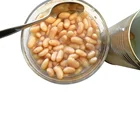 Beans Beans Canned White Kidney Beans In Brine