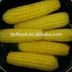 Corn Yellowcorn Corn New Crop BRC Certified Frozen Sweet Corn Cob Cut / Whole Good Quality