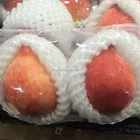 Net Pear Foam Fruit Net PE Colorful Fruit Foam Net For Apple Pear Papaya