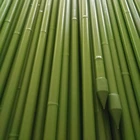 Garden Plastic Coated Metal Bamboo Garden Stake
