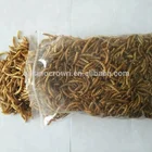 Food Special Mealworm Supplier Promotion Before Listed Dried Mealworms Pet Food Special Animal Food
