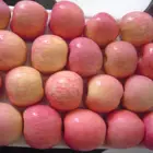 Apple Fresh Applefresh Fuji Apple Price Fresh Delicious Fuji Apple New Crop
