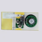 Music Music Sound Chip Custom Electronic Programmable Sound Mini Voice Recorder Greeting Card Music Chip