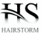 Shenzhen Hairstorm Technology Co., Ltd.