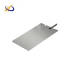 Platinum Platinized Plated Titanium Anode For Electrolysis