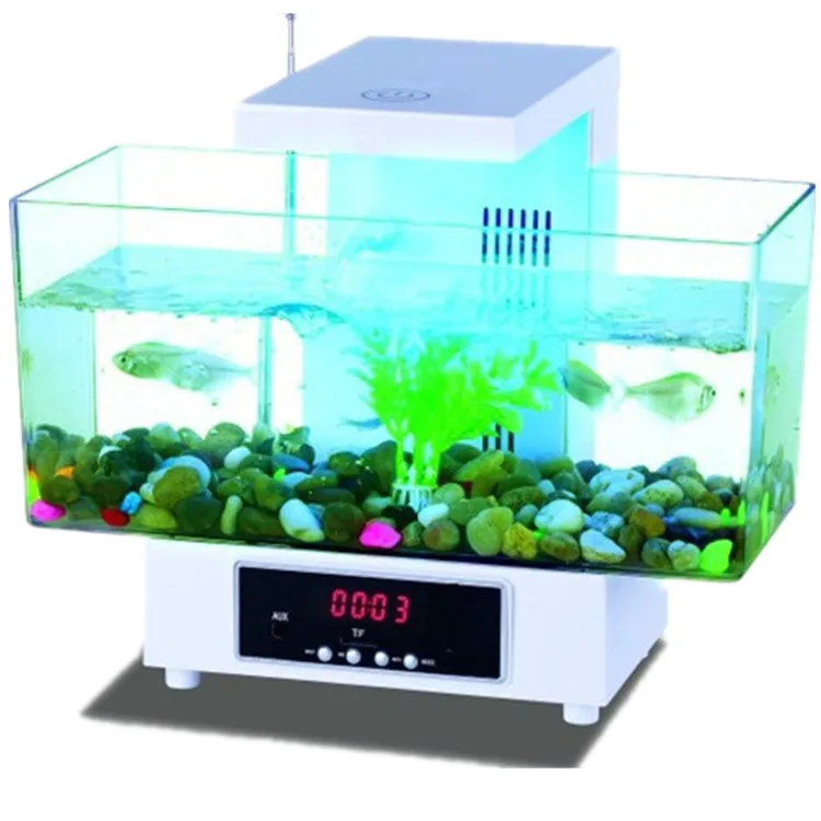 mini fish tank