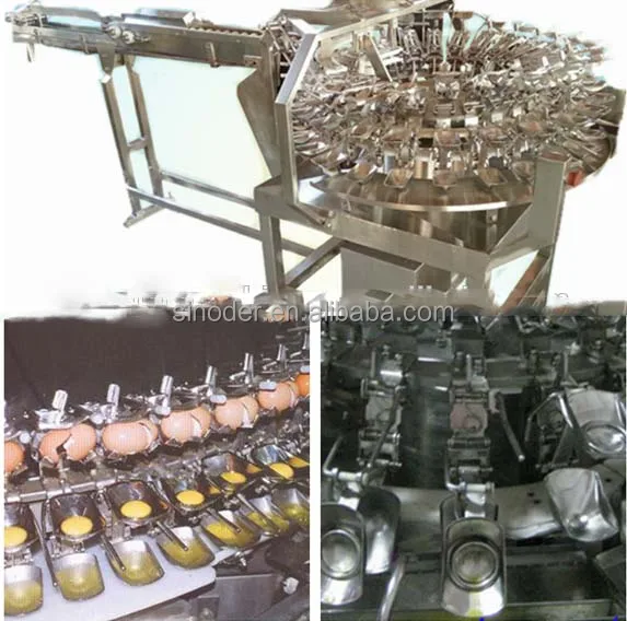 chicken egg white yolk separator machine eggshell