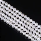6mm Pearl Pearls 6mm AA Grade 5mm To 6mm White Potato Shape Pearl Strand