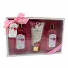 Aromatic Gifts Spa Set Gift OEM Wholesale Spa Sets Natural Aromatic Bath Set Mothers Day Gifts