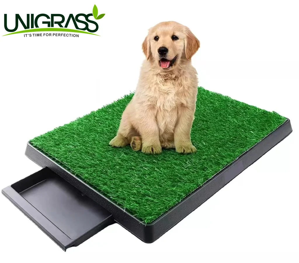 what happens if a dog urinates on artificial grass