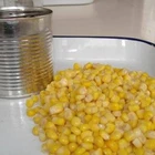 Yellow Corn Corn Super Sweet Yellow Corn Canned Sweet 2850g Baby Corn
