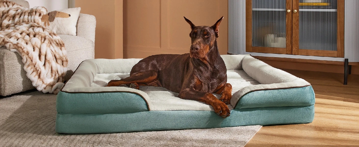 dog bed3