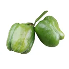 2021 smooth high-yield sweet pepper seed vegetable seed