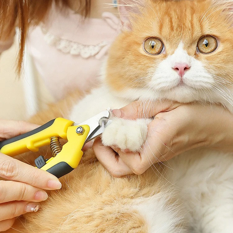 Dog and cat nail clippers