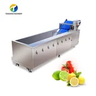 Pear Hot Sale 1500kg/h Orange Lemon Apple Strawberry Pear Ozone Sterilization Bubble Washing Machine