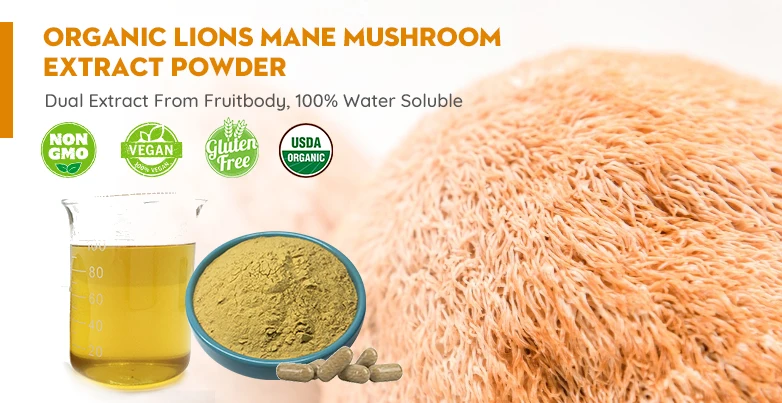 High Quality Lions Mane Mushroom Extract Powder Beta D Glucan For