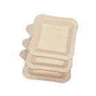 Finger Plate Easy Carring Disposable Commercial Finger Food Plate And Trays Custom Cheap Dinner Plate