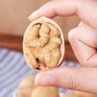 Shell Nuts The Best High Quality Fresh Thin Shell Nutrition Nuts Dry Fruit Walnut