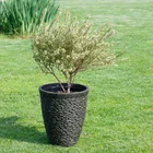 Wholesale High-end 5" 18" Inch Big Outdoor Bonsai Decorative Deep Cylinder Large Pebble Flower Pot Stone Rock Planter