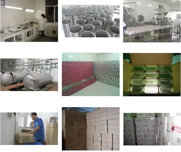 Canned Curry Goose Meat Ready-to-Eat, Pull-Top Lid Design, Ideal for Hiking & Office Lunches, 200g