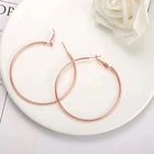 Hoop Earrings Earrings Fashion Big Hoop Earrings Stainless Steel Earrings For Women Girls Sensitive Ears