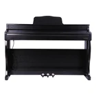 Piano 400 Rhythms 610tones OEM Grand Piano Digital Piano Keyboard Music 88 Key Electronic Piano