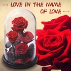 Hot Gift Hot Sale Wholesale Valentine's Day Gift Preserved Eternal Large 5 Red Rose With Glass Cover