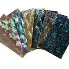 Abalone Shell Shellshell Abalone Shell Sheets Abalone Shell Veneer Abalone Shell Paper