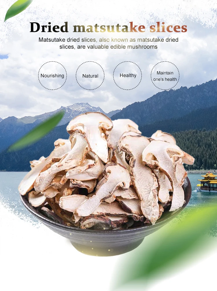 Yunnan High Quality Frozen Matsutake Mushroom Low Price Wild Tricholoma Matsutake Buy