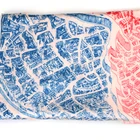Fashion Scarf Custom Design Avaiable OEM Fashion Shawl Screen Printed 100% Silk Scarf For Woman