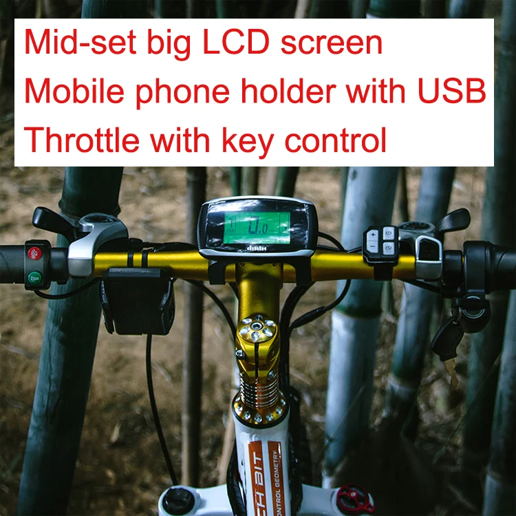 012-ebike-8.jpg
