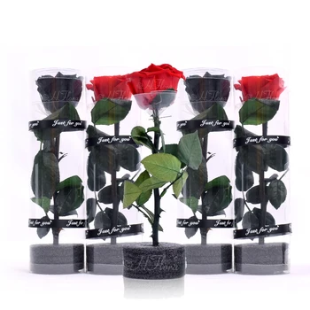 Cm Factory Supply Wholesale Decorative Preserved Rose With Stem Long