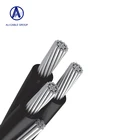 2 Core Cable 25mm 2 Core 3 Core 4 Core 16mm 25mm 35mm Abc Cable